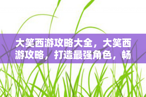 大笑西游攻略大全图片