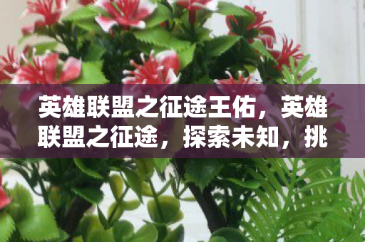 英雄联盟之征途王佑,英雄联盟之征途,探索未知,挑战自我 英雄联盟之征途王佑,英雄联盟之征途,探索未知,挑战自我