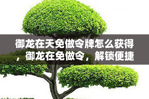 御龙在天免做令牌怎么获得图片