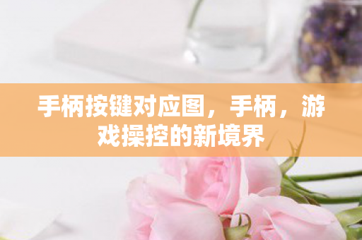 手柄按键对应图,手柄,游戏操控的新境界 手柄按键对应图,手柄,游戏操控的新境界