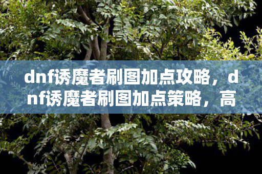 dnf诱魔者刷图加点攻略,dnf诱魔者刷图加点策略,高效输出与生存平衡 dnf诱魔者刷图加点攻略,dnf诱魔者刷图加点策略,高效输出与生存平衡