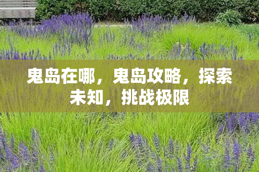 鬼岛在哪，鬼岛攻略，探索未知，挑战极限
