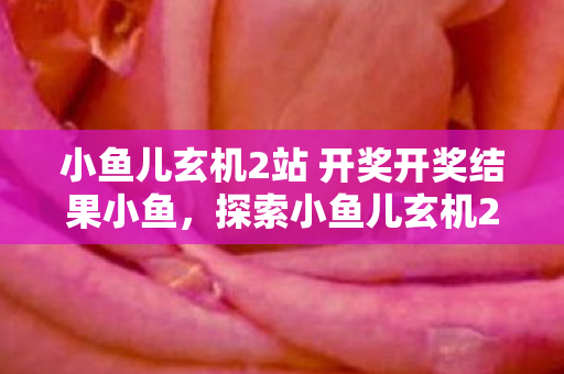 小鱼儿玄机2站 开奖开奖结果小鱼,探索小鱼儿玄机2站开奖,揭秘数字背后的惊喜与期待 小鱼儿玄机2站 开奖开奖结果小鱼,探索小鱼儿玄机2站开奖,揭秘数字背后的惊喜与期待