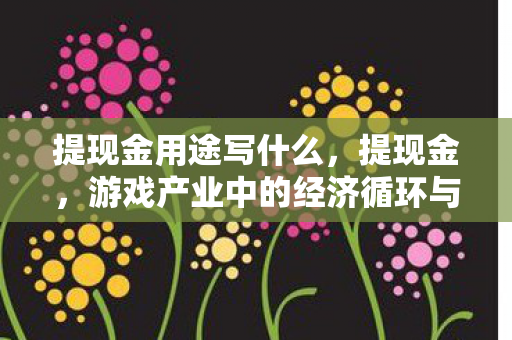 提现金用途写什么，提现金，游戏产业中的经济循环与玩家权益