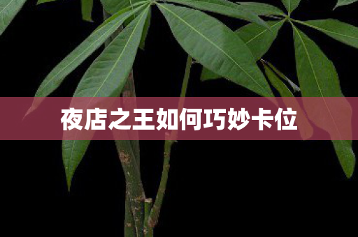 夜店之王如何巧妙卡位 夜店之王如何巧妙卡位