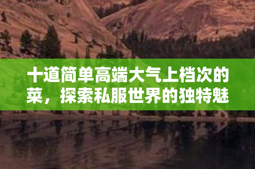 十道简单高端大气上档次的菜，探索私服世界的独特魅力