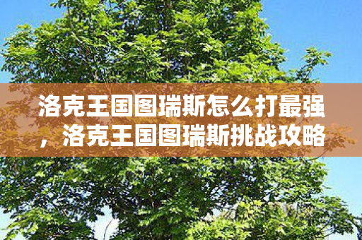 洛克王国图瑞斯怎么打最强，洛克王国图瑞斯挑战攻略