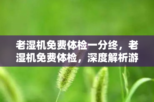 老湿机免费体检一分终,老湿机免费体检,深度解析游戏玩家福利与体验优化 老湿机免费体检一分终,老湿机免费体检,深度解析游戏玩家福利与体验优化
