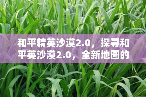 和平精英沙漠2.0,探寻和平英沙漠2.0,全新地图的奇妙之旅 和平精英沙漠2.0,探寻和平英沙漠2.0,全新地图的奇妙之旅
