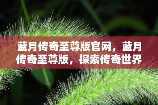 蓝月传奇至尊版官网,蓝月传奇至尊版,探索传奇世界的全新篇章 蓝月传奇至尊版官网,蓝月传奇至尊版,探索传奇世界的全新篇章