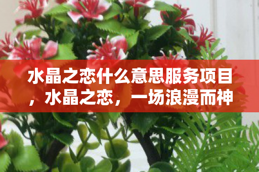 水晶之恋什么意思服务项目,水晶之恋,一场浪漫而神秘的约会 水晶之恋什么意思服务项目,水晶之恋,一场浪漫而神秘的约会