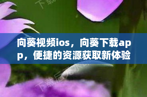 向葵视频ios,向葵下载app,便捷的资源获取新体验 向葵视频ios,向葵下载app,便捷的资源获取新体验