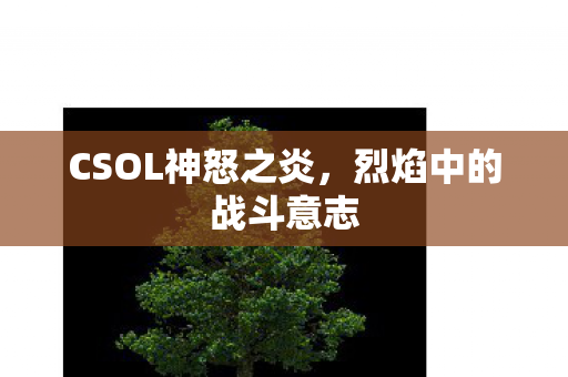 CSOL神怒之炎,烈焰中的战斗意志 CSOL神怒之炎,烈焰中的战斗意志