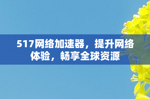 517网络加速器,提升网络体验,畅享全球资源 517网络加速器,提升网络体验,畅享全球资源