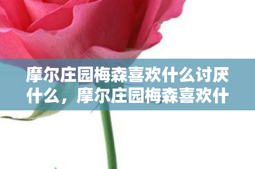 摩尔庄园梅森喜欢什么讨厌什么,摩尔庄园梅森喜欢什么 摩尔庄园梅森喜欢什么讨厌什么,摩尔庄园梅森喜欢什么