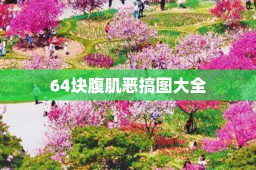 64块腹肌恶搞图大全 64块腹肌恶搞图大全