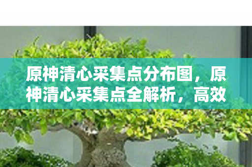 原神清心采集点分布图,原神清心采集点全解析,高效收集,助力角色成长 原神清心采集点分布图,原神清心采集点全解析,高效收集,助力角色成长