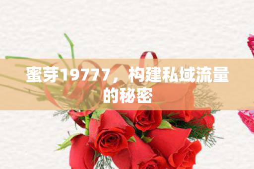 蜜芽19777，构建私域流量的秘密
