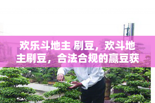 欢乐斗地主 刷豆,欢斗地主刷豆,合法合规的赢豆获取之道 欢乐斗地主 刷豆,欢斗地主刷豆,合法合规的赢豆获取之道