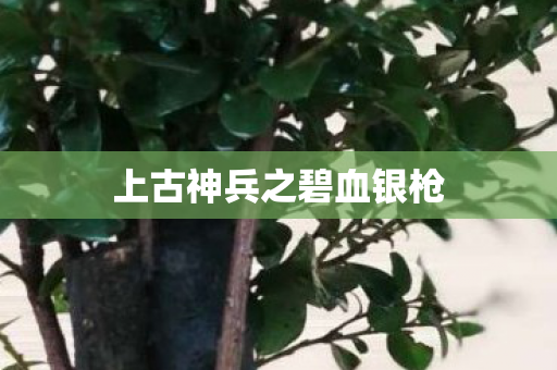 上古神兵之碧血银枪 上古神兵之碧血银枪