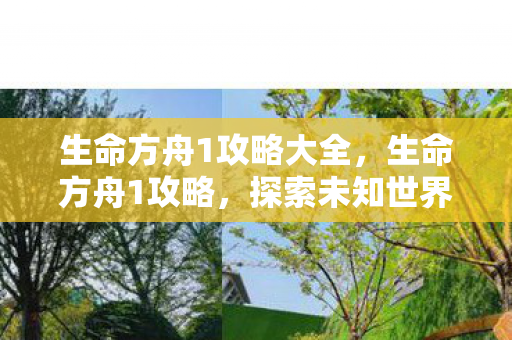 生命方舟1攻略大全,生命方舟1攻略,探索未知世界的生存指南 生命方舟1攻略大全,生命方舟1攻略,探索未知世界的生存指南