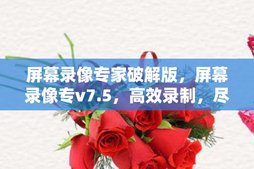 屏幕录像专家破解版,屏幕录像专v7.5,高效录制,尽在掌握 屏幕录像专家破解版,屏幕录像专v7.5,高效录制,尽在掌握