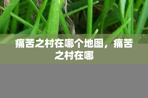 痛苦之村在哪个地图，痛苦之村在哪