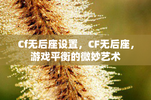 Cf无后座设置,CF无后座,游戏平衡的微妙艺术 Cf无后座设置,CF无后座,游戏平衡的微妙艺术