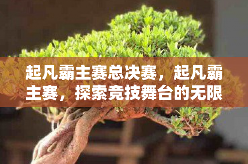 起凡霸主赛总决赛，起凡霸主赛，探索竞技舞台的无限可能