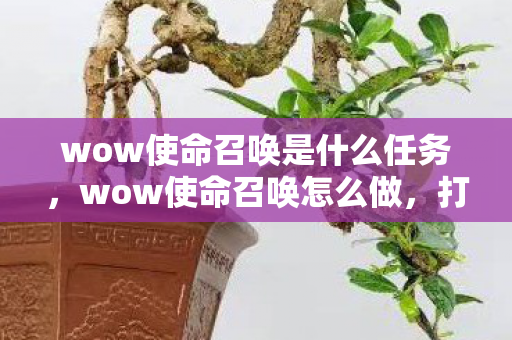 wow使命召唤是什么任务，wow使命召唤怎么做，打造流畅游戏体验的攻略