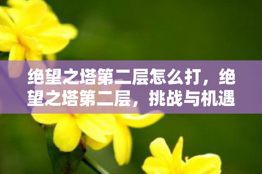 绝望之塔第二层怎么打,绝望之塔第二层,挑战与机遇并存的未知领域 绝望之塔第二层怎么打,绝望之塔第二层,挑战与机遇并存的未知领域