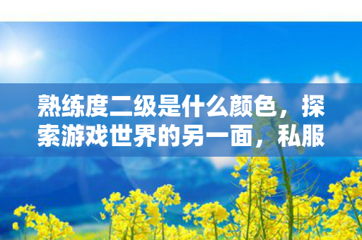 熟练度二级是什么颜色,探索游戏世界的另一面,私服游戏的兴起与影响 熟练度二级是什么颜色,探索游戏世界的另一面,私服游戏的兴起与影响