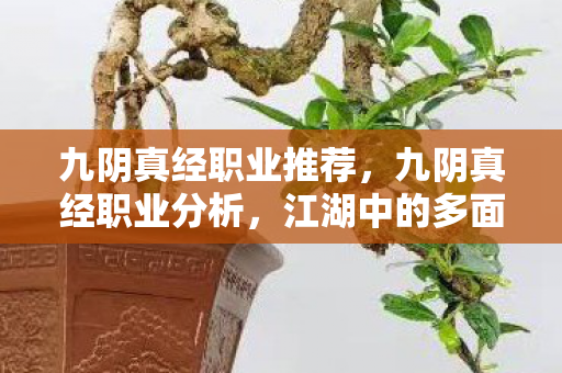 九阴真经职业推荐,九阴真经职业分析,江湖中的多面手 九阴真经职业推荐,九阴真经职业分析,江湖中的多面手