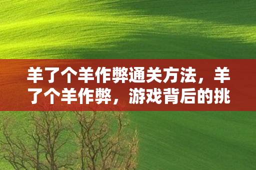 羊了个羊作弊通关方法,羊了个羊作弊,游戏背后的挑战与反思 羊了个羊作弊通关方法,羊了个羊作弊,游戏背后的挑战与反思