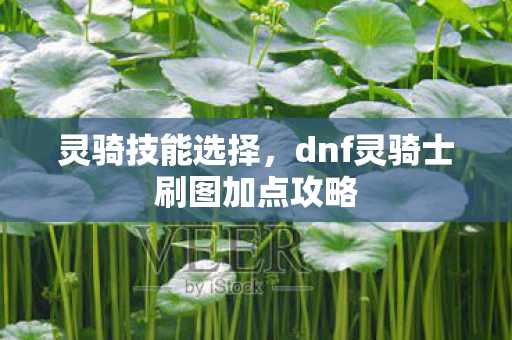 灵骑技能选择,dnf灵骑士刷图加点攻略 灵骑技能选择,dnf灵骑士刷图加点攻略