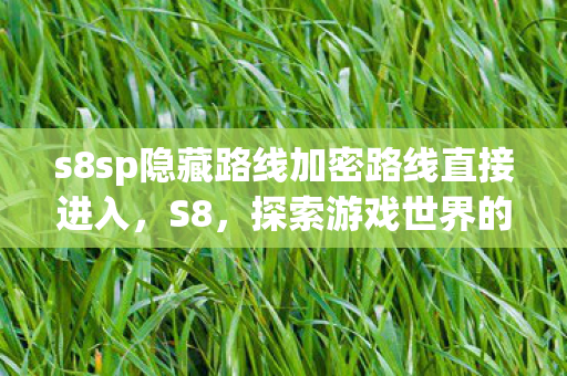 s8sp隐藏路线加密路线直接进入，S8，探索游戏世界的无限可能
