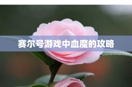 赛尔号游戏中血魔的攻略 赛尔号游戏中血魔的攻略