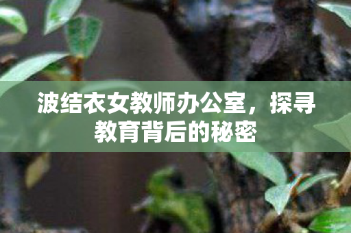 波结衣女教师办公室,探寻教育背后的秘密 波结衣女教师办公室,探寻教育背后的秘密