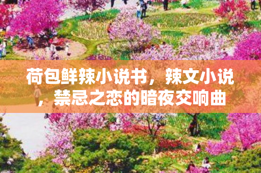 荷包鲜辣小说书,辣文小说,禁忌之恋的暗夜交响曲 荷包鲜辣小说书,辣文小说,禁忌之恋的暗夜交响曲