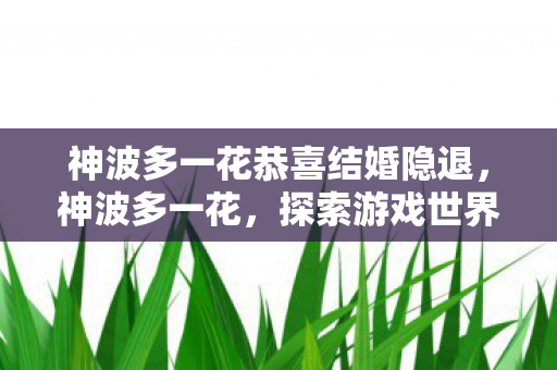 神波多一花恭喜结婚隐退,神波多一花,探索游戏世界的无限可能 神波多一花恭喜结婚隐退,神波多一花,探索游戏世界的无限可能