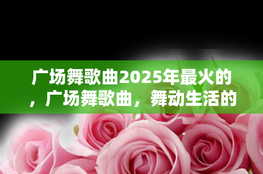 广场舞歌曲2025年最火的，广场舞歌曲，舞动生活的旋律