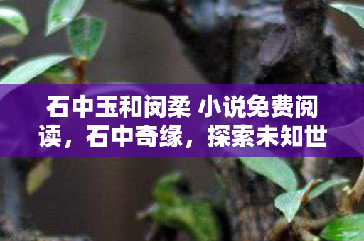 石中玉和闵柔 小说免费阅读,石中奇缘,探索未知世界的神秘之旅 石中玉和闵柔 小说免费阅读,石中奇缘,探索未知世界的神秘之旅