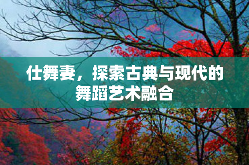 仕舞妻,探索古典与现代的舞蹈艺术融合 仕舞妻,探索古典与现代的舞蹈艺术融合