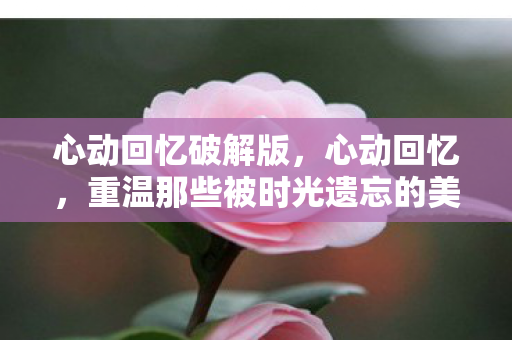 心动回忆破解版，心动回忆，重温那些被时光遗忘的美好瞬间