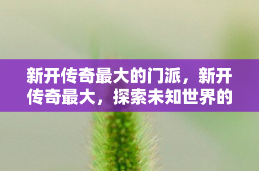 新开传奇最大的门派,新开传奇最大,探索未知世界的冒险之旅 新开传奇最大的门派,新开传奇最大,探索未知世界的冒险之旅