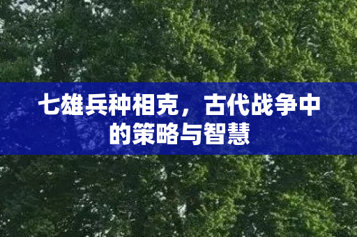 七雄兵种相克,古代战争中的策略与智慧 七雄兵种相克,古代战争中的策略与智慧