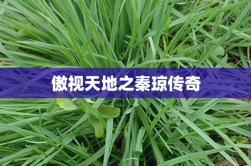 傲视天地之秦琼传奇