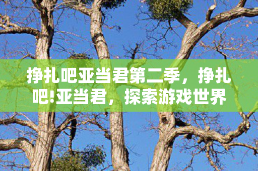 挣扎吧亚当君第二季,挣扎吧!亚当君,探索游戏世界的无限可能 挣扎吧亚当君第二季,挣扎吧!亚当君,探索游戏世界的无限可能