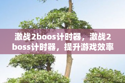 激战2boos计时器，激战2boss计时器，提升游戏效率与战斗体验