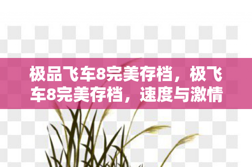 极品飞车8完美存档,极飞车8完美存档,速度与激情的延续 极品飞车8完美存档,极飞车8完美存档,速度与激情的延续
